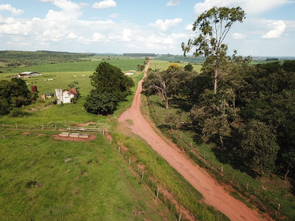 O violeiro e a estrada boiadeira 